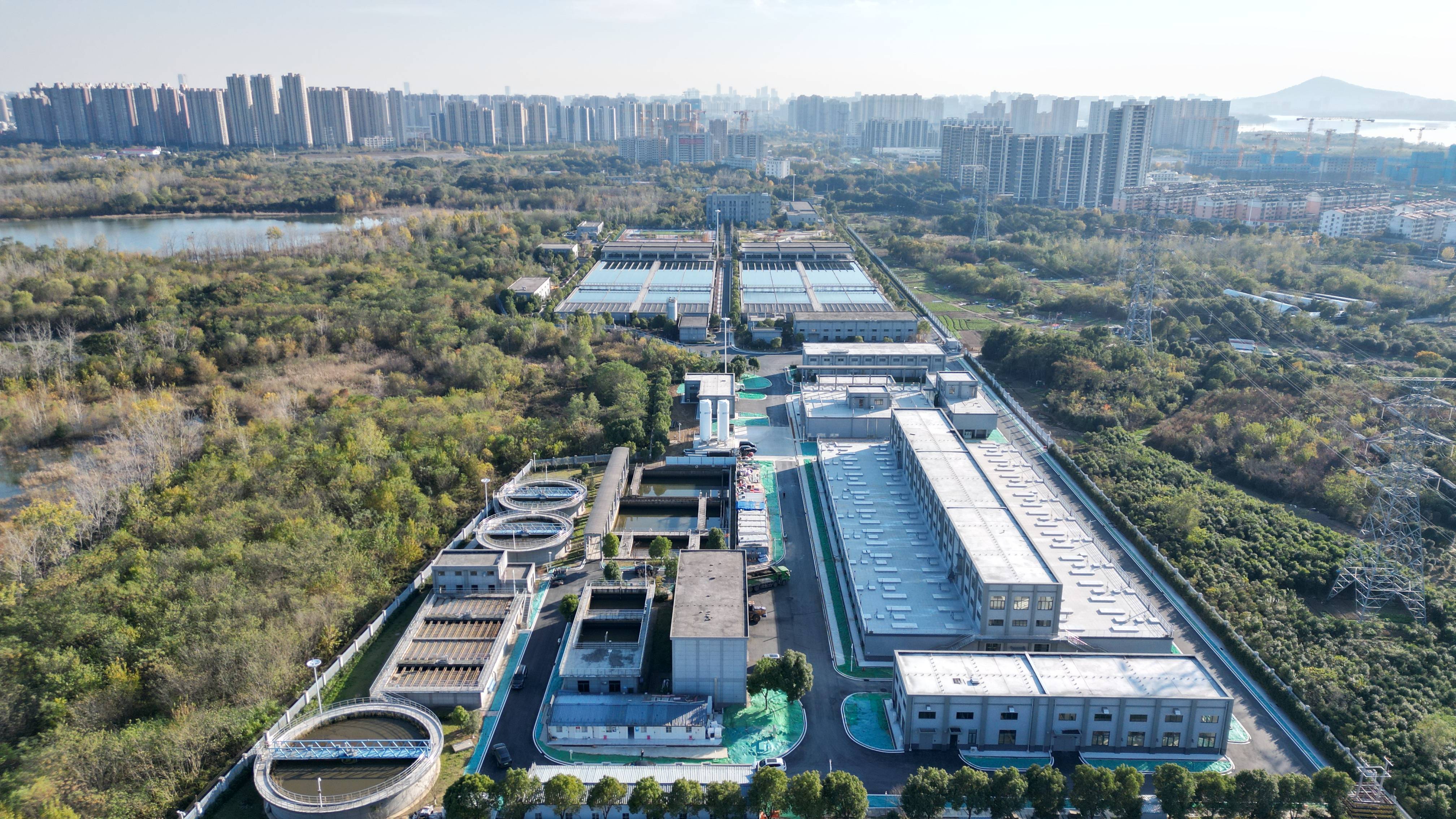 石嘴山市合肥专业企业价值增长(合肥市重点企业产业目录)