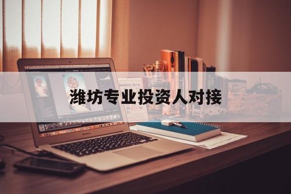 石嘴山市潍坊专业投资人对接(潍坊专业投资人对接中心)