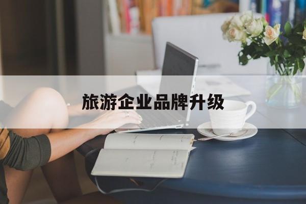 石嘴山市旅游企业品牌升级(旅游企业品牌升级措施)