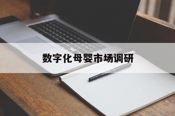 石嘴山市数字化母婴市场调研(数字化母婴市场调研报告)